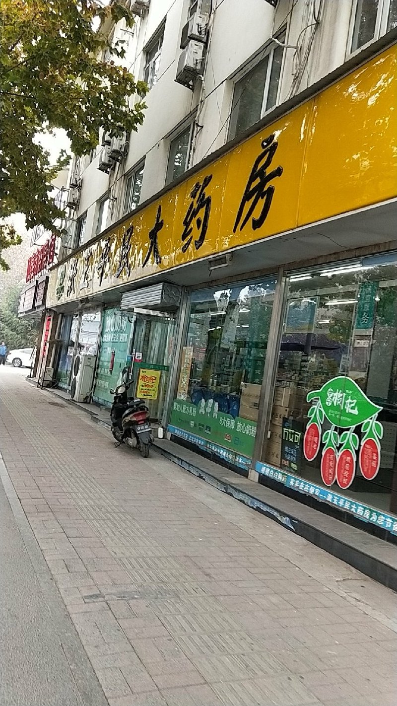 广东林和药业：行业领先者背后的创新之路